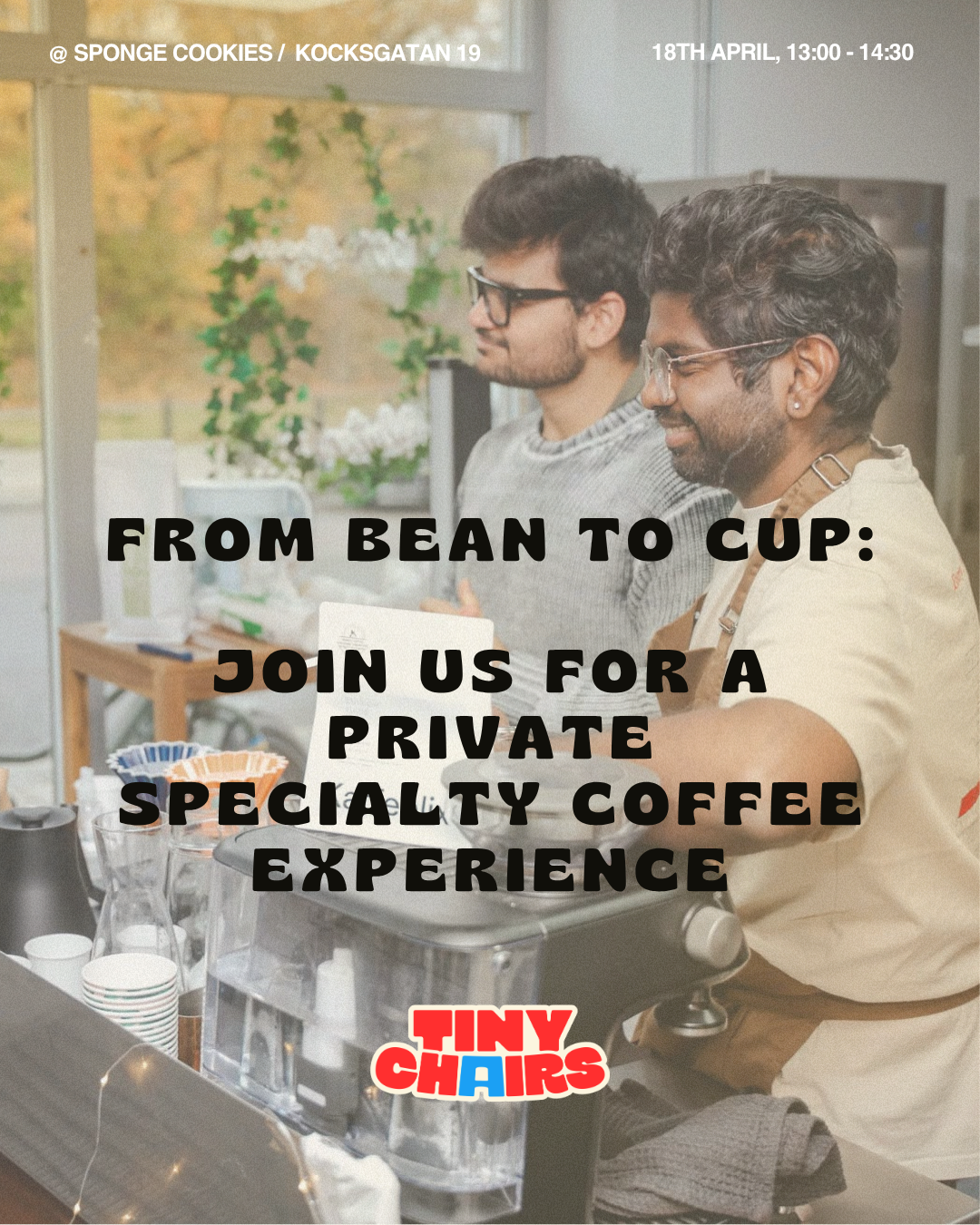 Specialty Coffee Experience: Tiny Chairs X Washed Gesha X Sponge Cookies