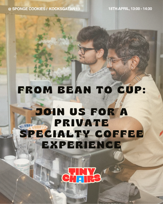 Specialty Coffee Experience: Tiny Chairs X Washed Gesha X Sponge Cookies